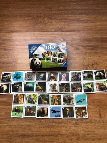 Loto zoo de beauval 