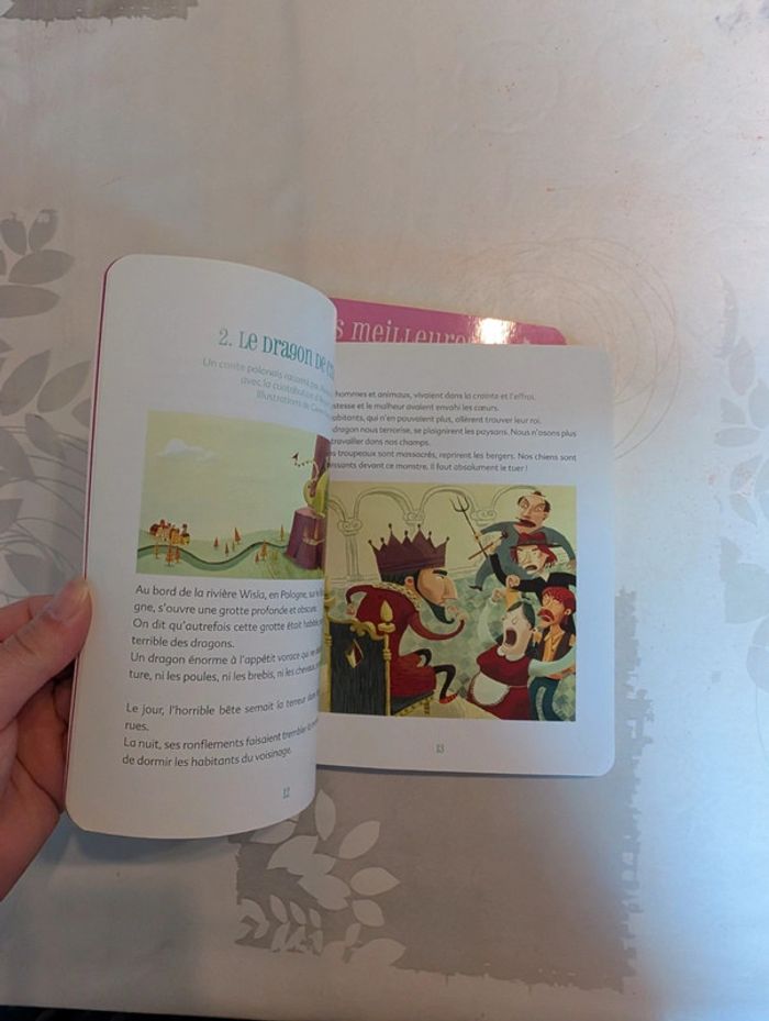 Lot Père castor - photo numéro 7