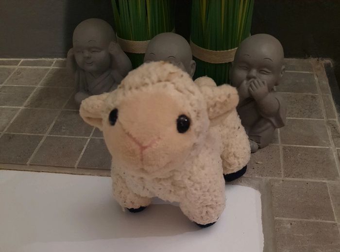 Petit mouton toux doux my friend