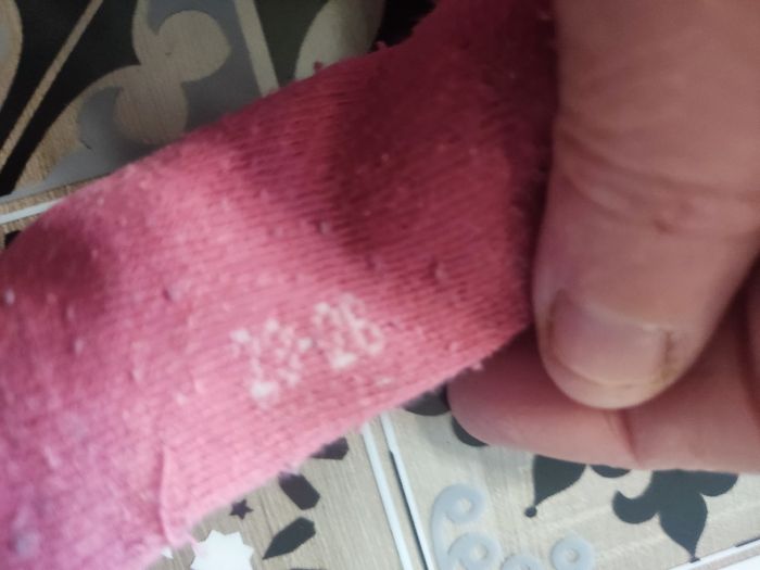 Lot de collants - photo numéro 4