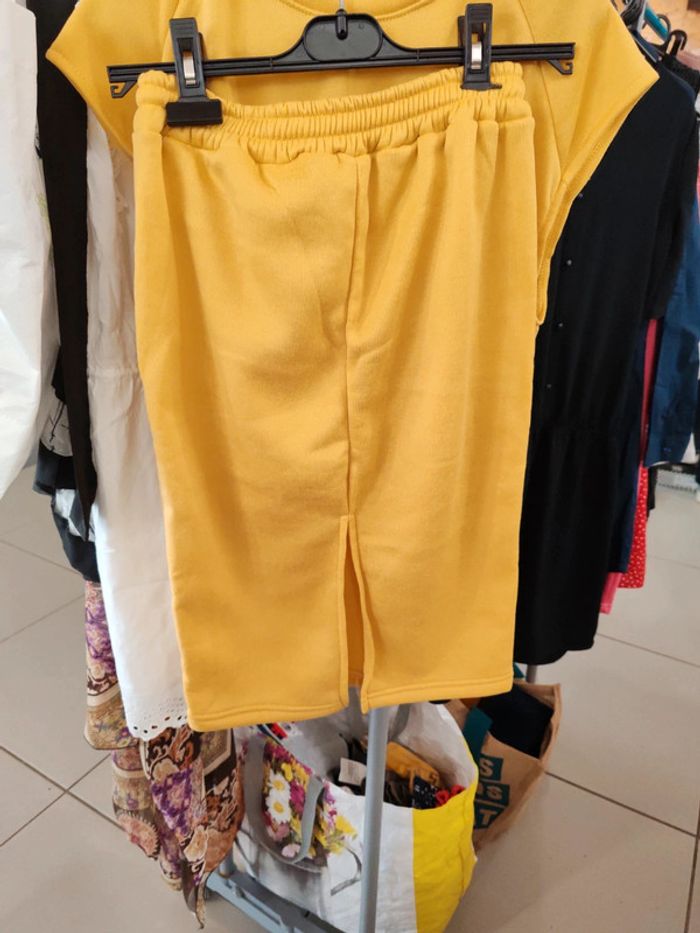 Ensemble moutard - photo numéro 3