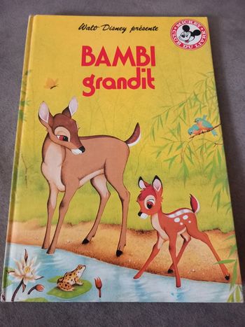 Livre disney