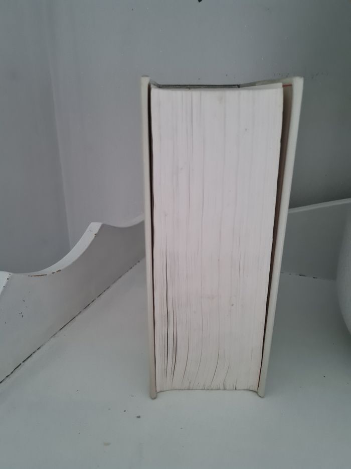 Gros dictionnaire - photo numéro 4