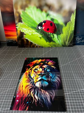 Poster en métal lion