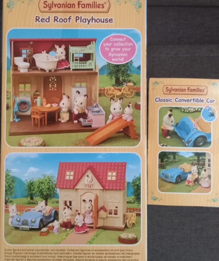 Maison et voiture décapotable bleue - photo numéro 2