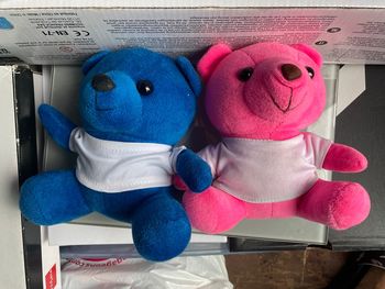 Lot de deux peluches