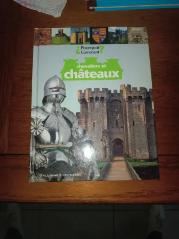 Chevaliers et châteaux 