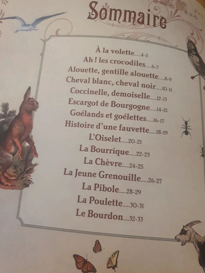 Livre chansons des animaux - photo numéro 2