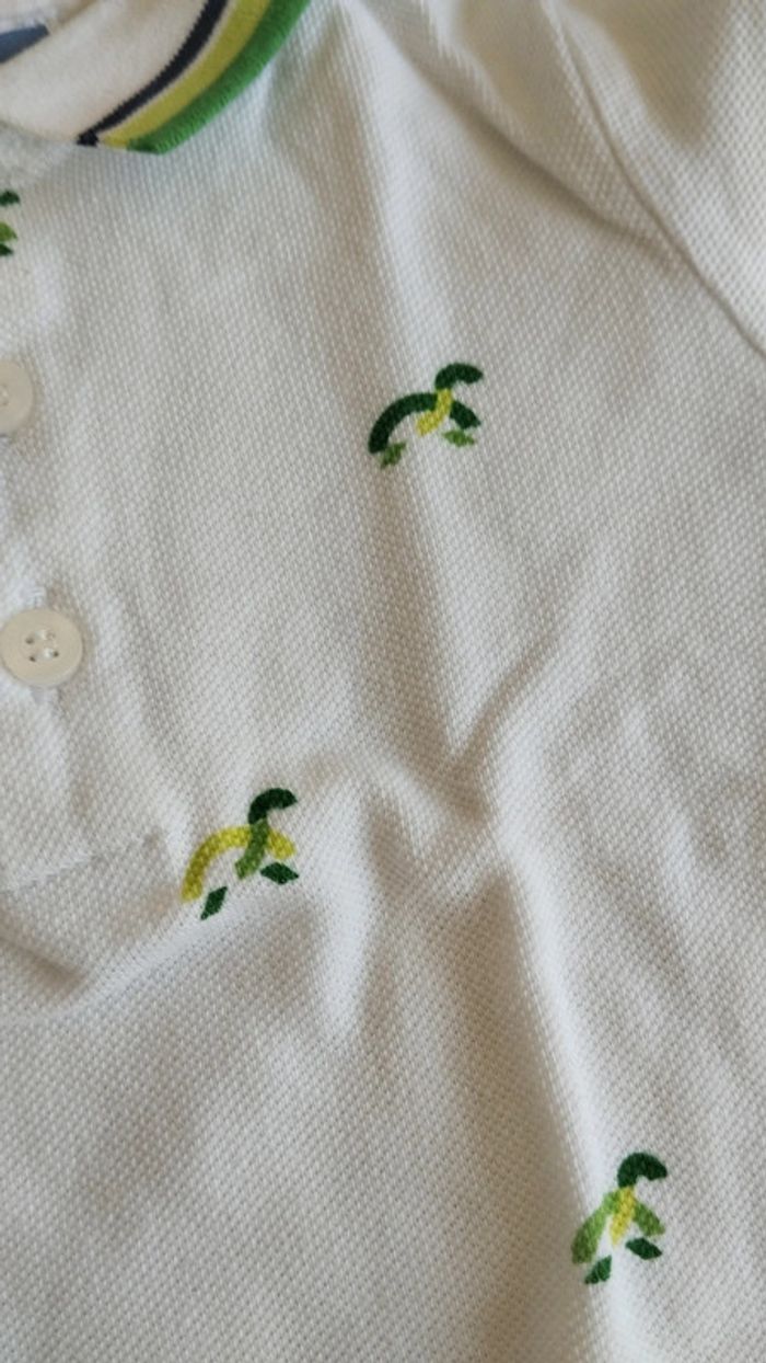 Polos jacadi - photo numéro 9
