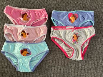 Lot de 5 culottes Spirit