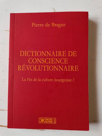 Dictionnaire de conscience révolutionnaire de Pierre de Brague