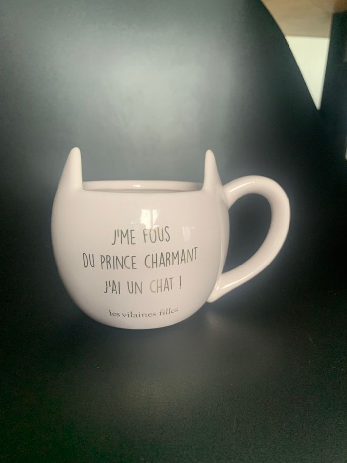 Tasse chat et recette - photo numéro 7