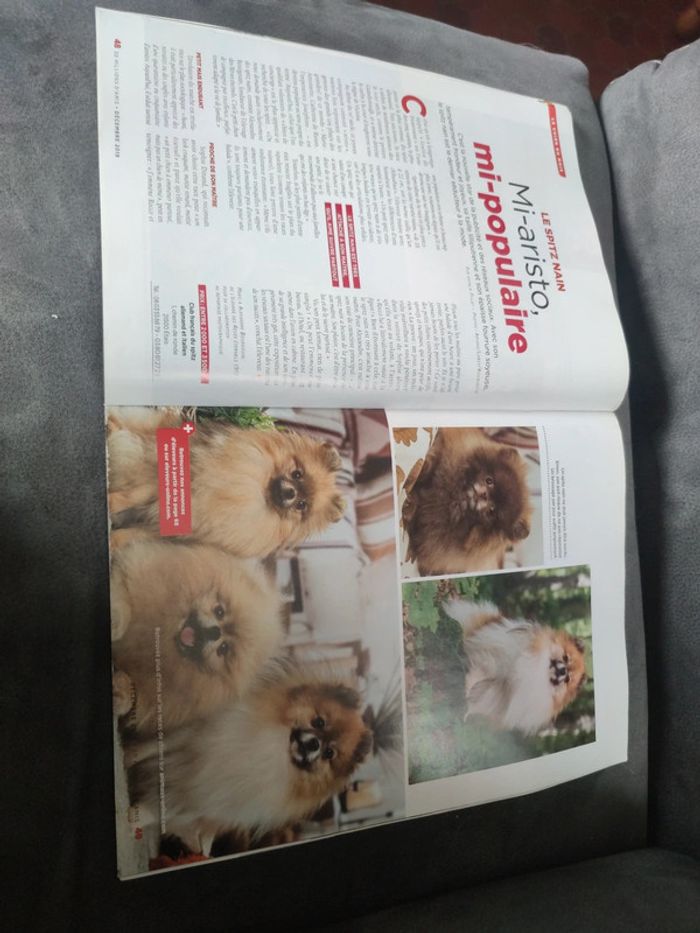 Magazine 30 millions d'amis numéro 379 décembre 2019 - photo numéro 9