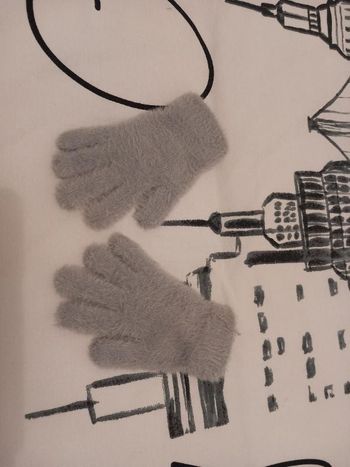 Vends Gants chauds