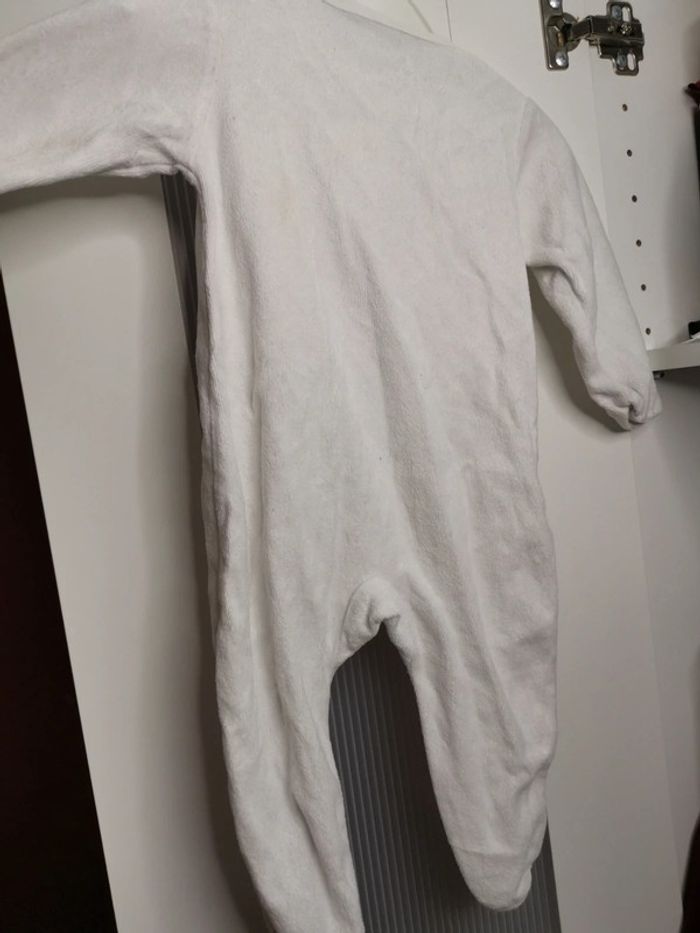 Grenouillère - photo numéro 4