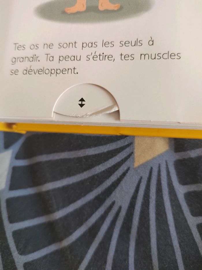 Livre mon tout premier larousse des comment - photo numéro 5