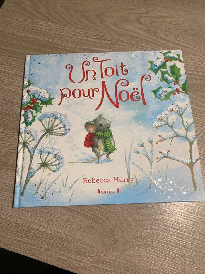 Livre un toit pour Noël