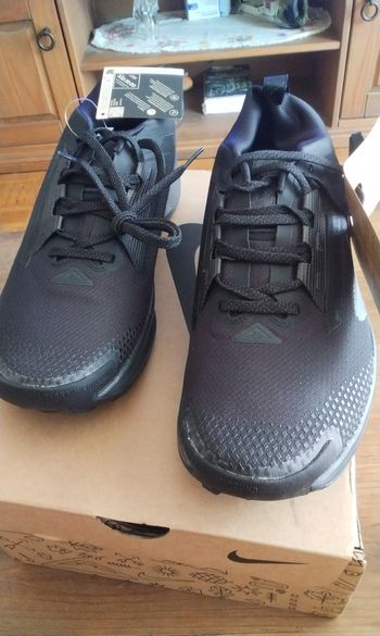 Nike Pegasus trial 5 gtx