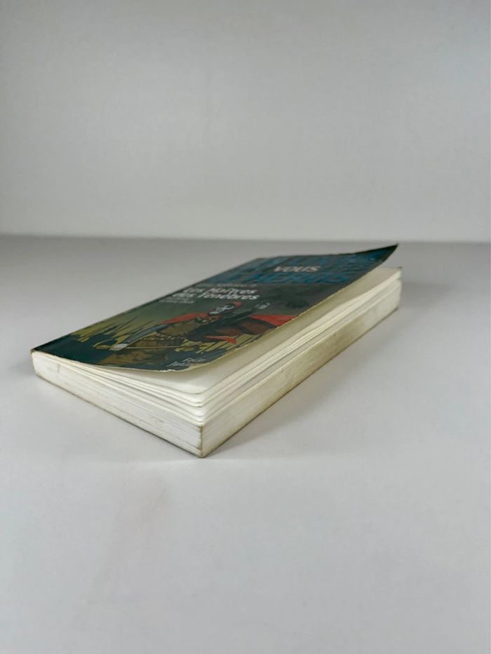 Livre dont vous êtes le Héros : Loup Solitaire 1. Les Maîtres des Ténèbres - photo numéro 9