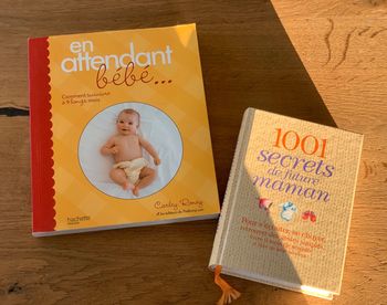 Lot de livres de grossesse