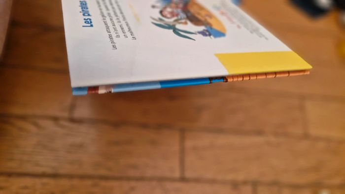 Les pirates / mes p'tits docs - photo numéro 7