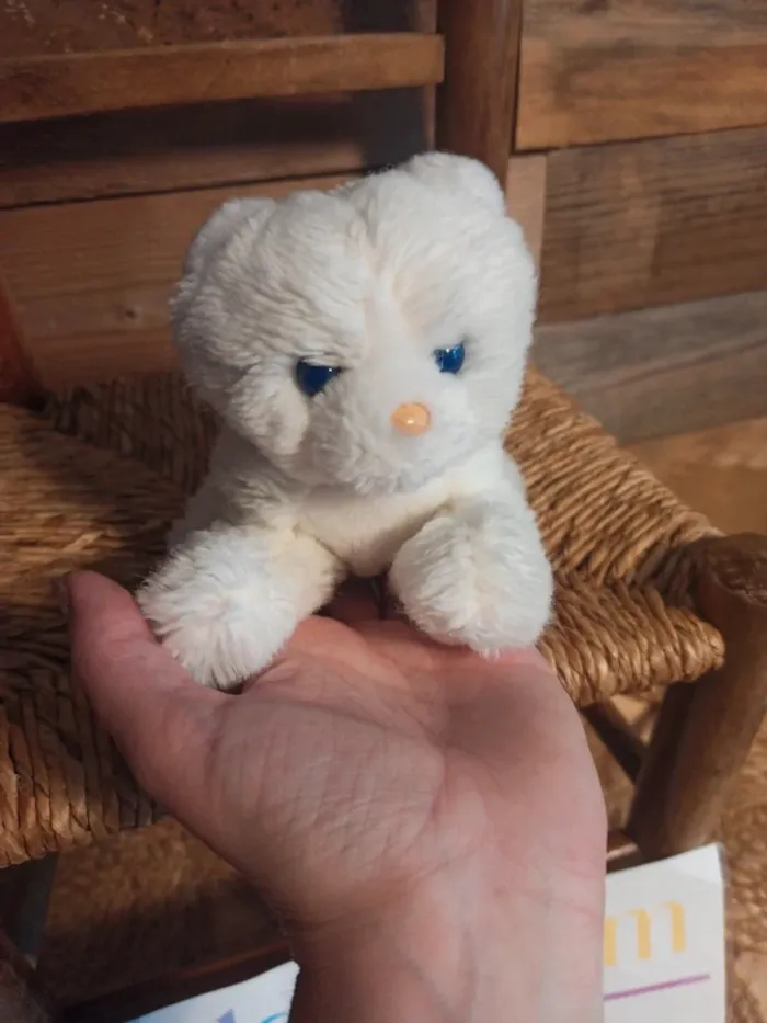 Peluche petit chat blanc Boulgom tbe - photo numéro 5