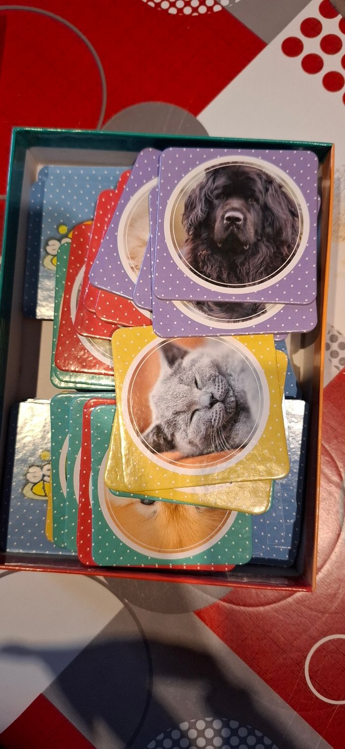 Jeux memo carte - photo numéro 3