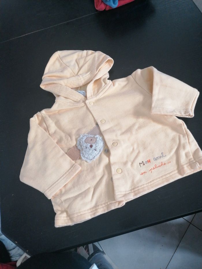 Gilet 6 mois absorba