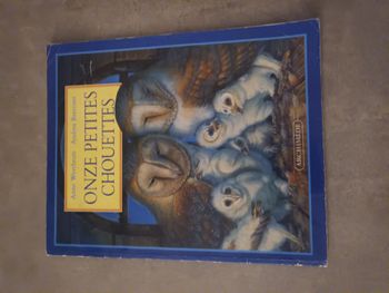 Livre onze petites chouettes