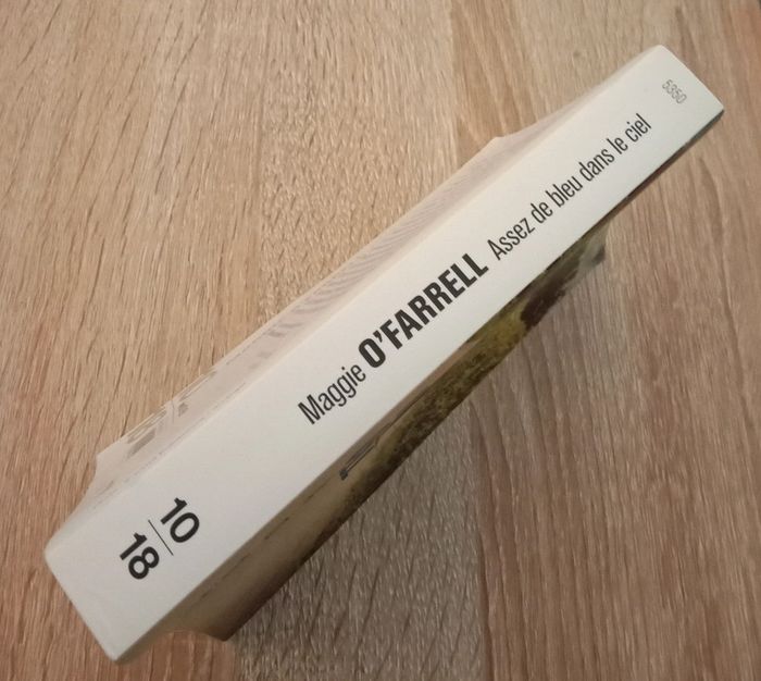 Maggie O'Farrell 🪅 Assez de bleu dans le ciel - photo numéro 4