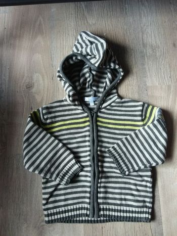 Gilet à capuche