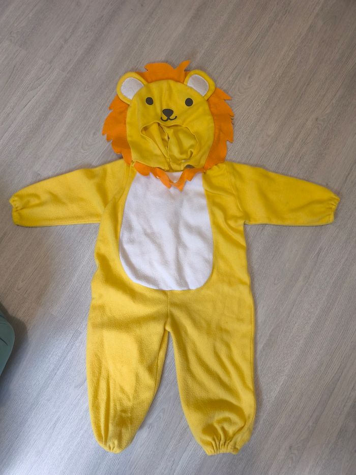 Déguisement 🦁