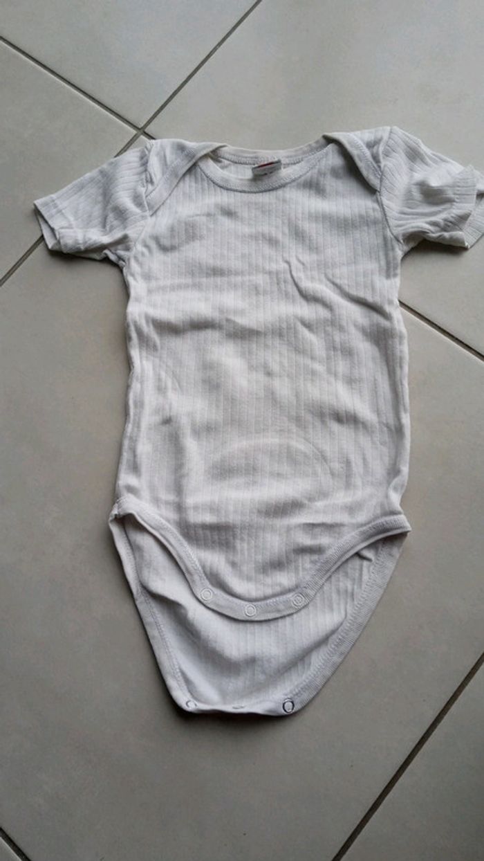 Lot de 2 bodys manches courtes - photo numéro 3