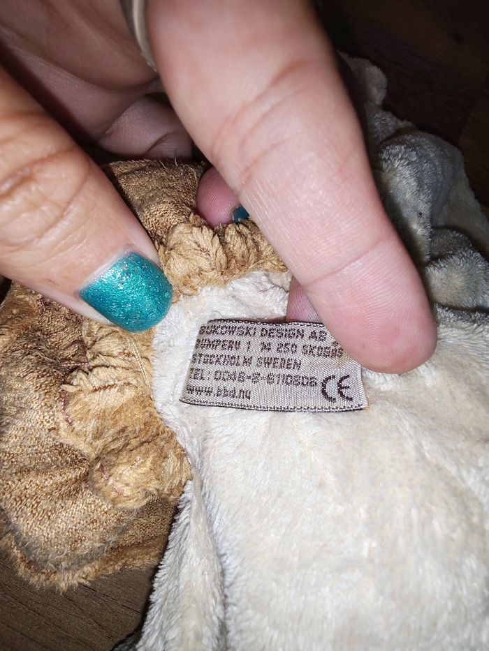Chien marron et beige Bukowski - photo numéro 2