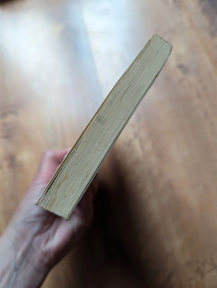 Livre dragonball pastel n°3 - photo numéro 5