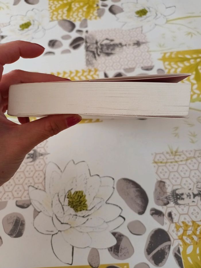 Livre : L'étoile de la liberté de Oriane Lapouge - photo numéro 3