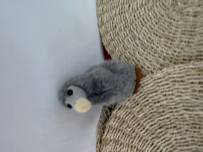 Peluche Oiseau Dodo gris Île Maurice Mauritius neuf Wally Plush Toys - photo numéro 5