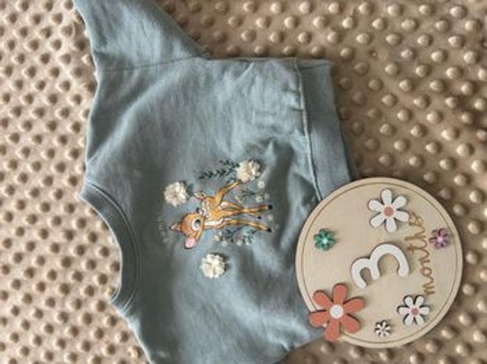 Pull bambi - photo numéro 5