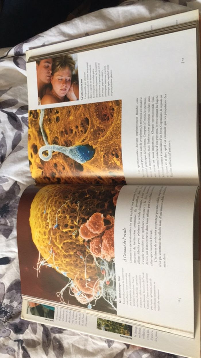 Livre Naître édition hachette - photo numéro 4