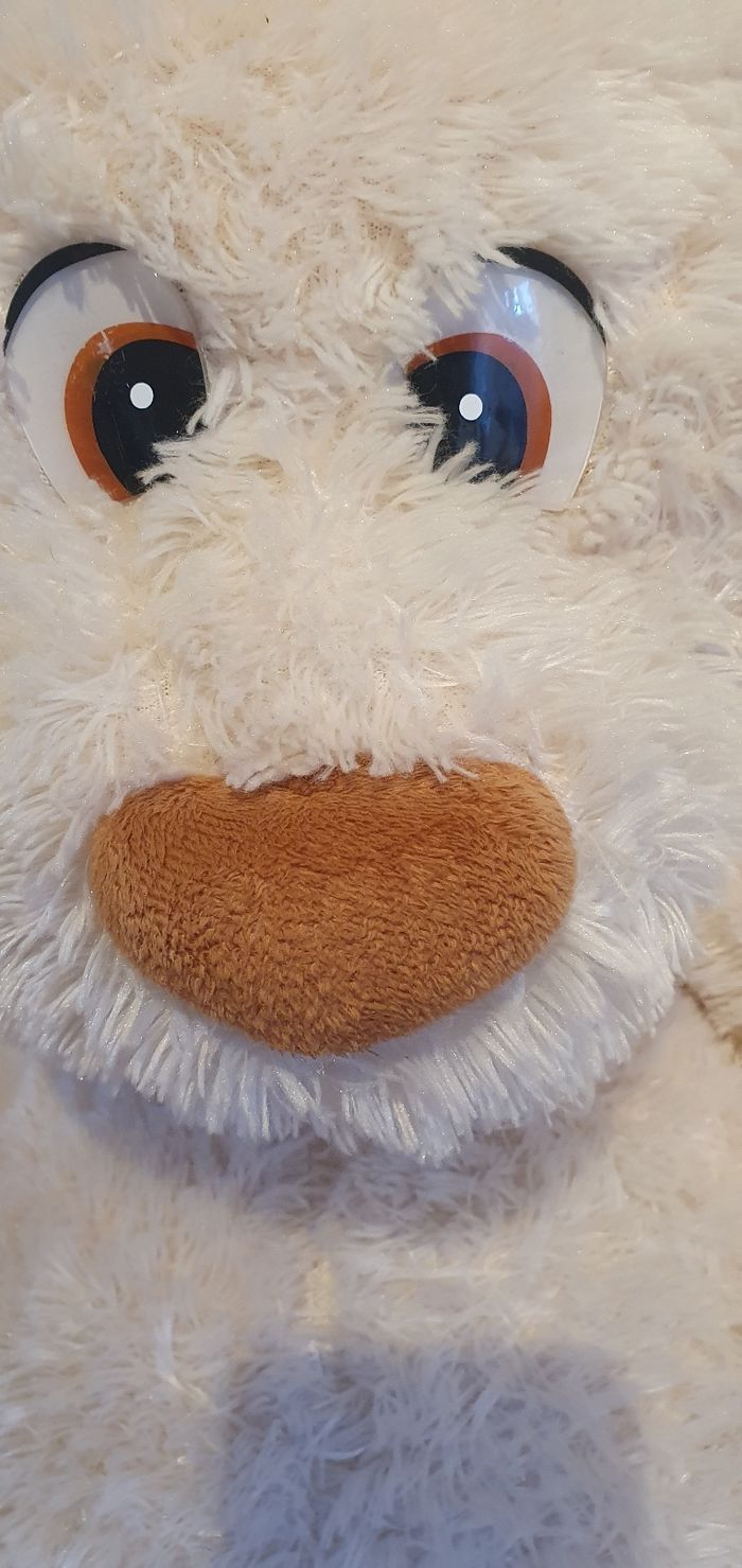 Gros nounours - photo numéro 2