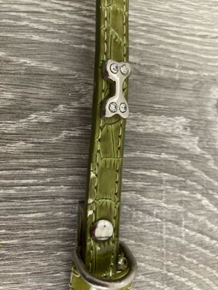 Ensemble collier et laisse pour chien - photo numéro 4