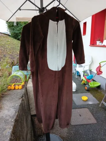 Lot renne de Noël jumeaux