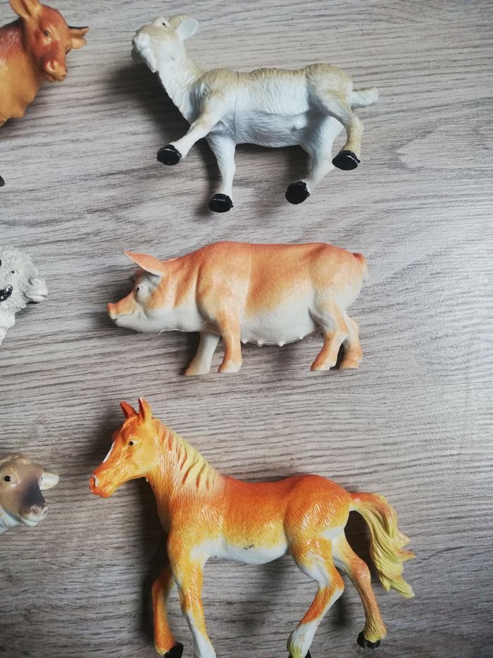 Animaux de la ferme - photo numéro 4