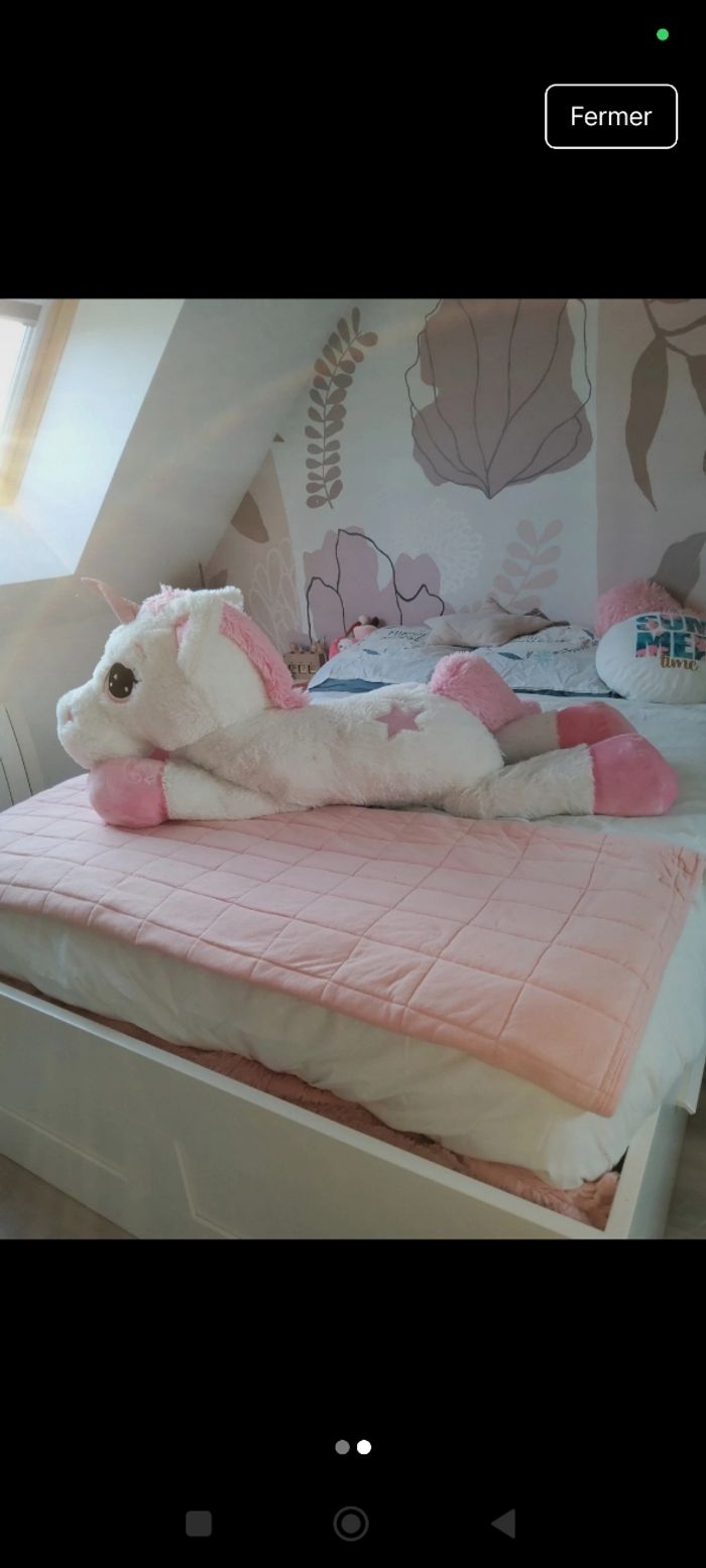Licorne géante - photo numéro 2