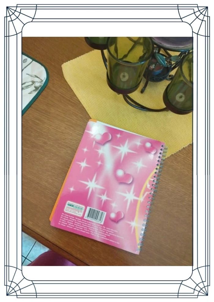 Agenda carnet école 17 x 22 cm fille fée neuf - photo numéro 12