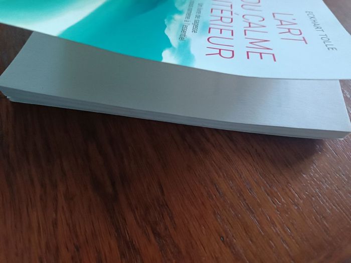 L'art du calme intérieur. - photo numéro 7