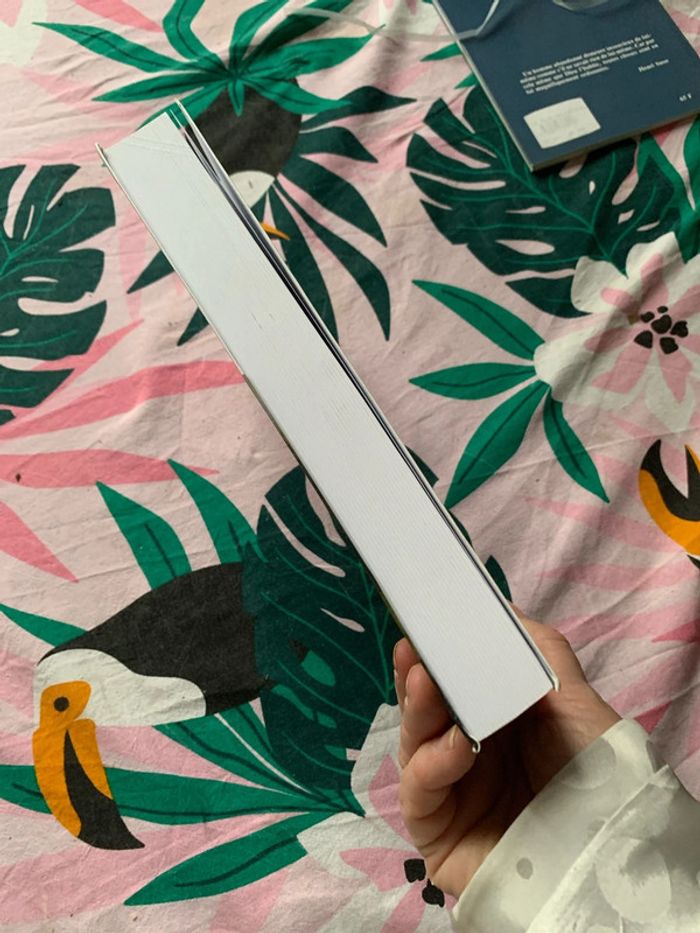 50 ans qui ébranlèrent l Angleterre - photo numéro 4