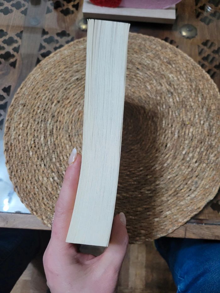 Le jour où Anita envoya tout balader. - photo numéro 5