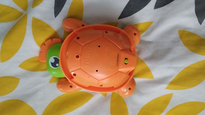 Tortue musical - photo numéro 3