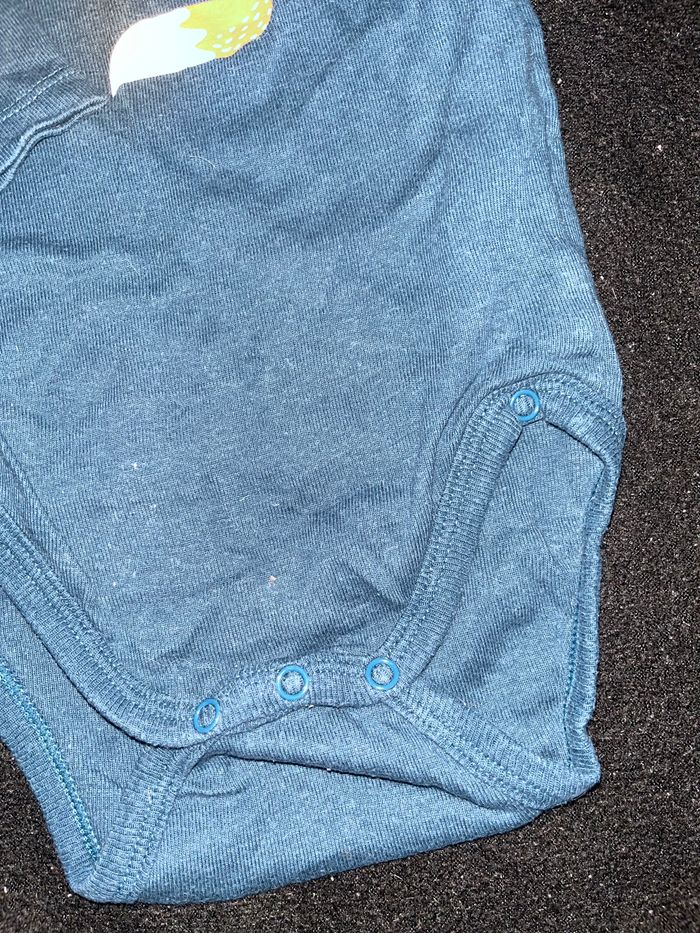 Bodie 12 mois - photo numéro 3